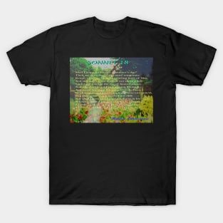 Shakespeare Sonnet 18--Shall I compare thee... T-Shirt